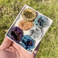 Ensemble de grappes de géodes de cristal naturel colorées dans un coffret cadeau blanc - Coffret de Paires de Géodes d'Agate Colorées Électroplaquées (Petit)