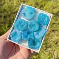 Spécimens de druse de cristal de géode naturelle bleu ciel dans un coffret cadeau blanc - Coffret de Paires de Géodes d'Agate Colorées par Vaporisation (Petit)