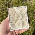 Spécimens minéraux de géodes d'agate blanche naturelle dans un coffret cadeau blanc - Coffret de Géodes d'Agate Couleur Naturelle (Petit, Original)