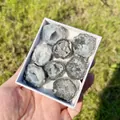 Coffret cadeau de spécimens de géodes d'agate naturelle pour la décoration intérieure - Coffret d'Agate à Peau Verte (Petit)