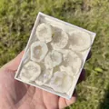 Grappes de cristaux de géode d'agate blanche naturelle dans un coffret cadeau élégant - Coffret de Géodes d'Agate Électroplaquées AB (Petit)
