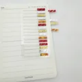 Holographic laser index tabs sticky notes with colorful patterns - Short Gold Red / 15 Pieces