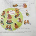Autocollants en PET de capybara mignons pour étudiants, étiquettes adhésives d'animaux - Animal / 160 Pièces/Pack