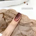 Maillard cat eye gel nail polish shade N.03 in dark reddish brown for autumn winter - 03#