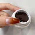 Professional dark brown gradient nail gel polish for artistic manicures, color N.10 - No.10