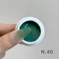 Professional dark green gradient nail painting gel lacquer for salon effects color N.40 - No.40