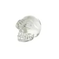 Transparente Kristallglas Totenkopf-Figur für elegante Halloween Tischdekoration - Kleiner Totenkopf (Transparent) / 53*38*44mm / Transparent