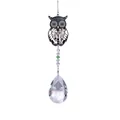 Exquisite metal owl suncatcher pendant featuring a large faceted clear teardrop crystal - 50mm Flower Owl Pendant / Clear