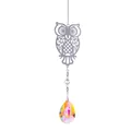 Atrapasol de búho de cristal con colgante de gota iridiscente para decorar el jardín - Estilo de Búho