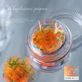 Style 11# irregular aurora laser orange cellophane fragments for professional nail art decoration - Japanese Laser Style 11#(zqsp0468-01)