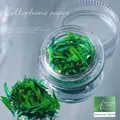 Green aurora laser cellophane nail art fragments in a clear jar, style 16#. - Japanese Laser Style 16#(zqsp0468-01)