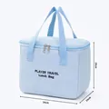 Large capacity insulated light blue lunch bag with dual zippers for daily commuting - Blue