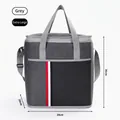Extra large gray insulated picnic bag with red, white, and blue stripe detail - Extra Large / Gray