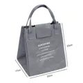 Insulated grey Tyvek paper lunch bag for work or school, 23x20x17cm dimensions - Light Gray