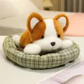 Adorable Corgi puppy plush toy resting in a green checkered cozy pet bed basket - Corgi