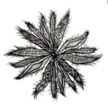 Macro view of a black lace floral applique with intricate fish silk embroidery details - 3# Black (Black Radial Flower)