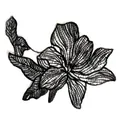 Detailed view of delicate black fish-line lace flower embroidery patch for DIY crafts. - 7# Black (Black Butterfly Patch)