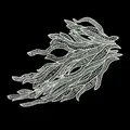 Close-up detail of white transparent lace butterfly embroidery patch on black background - 8# (White Butterfly Wings)