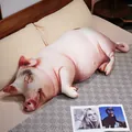 Grand oreiller en peluche de cochon de simulation réaliste jouet de cochon 3D dormir - 40CM