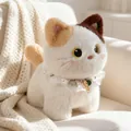 Cute tricolor calico cat plush doll with elegant white lace collar sitting on sofa - Calico Cat