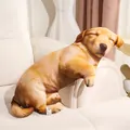 Realistic 3D puppy dog plush pillow for home sofa decoration in golden brown color - Simulated Dog / Small (Pendant)