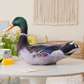 Realistic mallard duck plush pillow featuring high-definition 3D digital printing texture - Duck