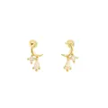 Elegantes pendientes de media luna de oro con brillantes piedras de circonita. - Plata 925 / Dorado