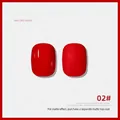 Professional wine red nail gel polish 02# with glossy and matte finish swatch effects - Wine Red (#02)