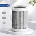 High-efficiency multi-layer replacement filter for portable desktop air purifier unit - Replacement Filter Element