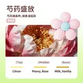 Peony floral scent flower-shaped aromatherapy sticker for car and wardrobe home fragrance - Peony Bloom