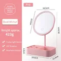 Rosa LED-Tisch-Make-up-Spiegel mit drehbarem ovalem Kopf und Aufbewahrung für Schminktisch - Ellipse / Rosa Ovaler Spiegel