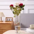 Άθραυστο διαφανές ακρυλικό κυλινδρικό βάζο για υδροπονικά άνθη και διακόσμηση σπιτιού - Διάμετρος 10cm Ύψος 29.6cm (Μεγάλο)