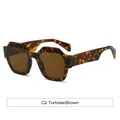 Trendy veelhoekige zonnebril met C2 schildpadmontuur en bruine glazen, UV-bescherming - Schildpad Frame Thee Lenzen