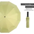 Fully automatic 12-rib folding umbrella in Matcha Green - 12 Ribs Extra Large / Matcha Green