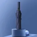 Marineblauer automatischer Regenschirm mit windfestem Design auf einem blauen Podest - 12 Rippen / Marineblau