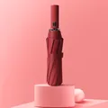 Premium rote Automatik-Faltschirm auf einem stilvollen rosa Studio-Podest-Setup - 12 Rippen / Burgunderrot