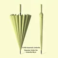 Elegant 16-rib light green automatic long-handle umbrella with 98cm canopy diameter - Small (98cm) / Automatic 16 Ribs / Matcha Green