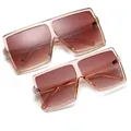 Set de gafas de sol de gran tamaño para padres e hijos a la moda en tinte té champán - Set familiar / Montura Té Transparente Té Gradiente (Set)