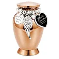 Small rose gold pet cremation urn with photo frame and heart charm memorial jar - Mini Heart Photo Frame Style / 70x45mm (Frame 2.1cm) / Rose Gold