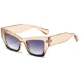 Lunettes de soleil œil de chat beige transparent avec verres dégradés pour femmes - C4 Haut Champagne Bas Noir Gris Dégradé