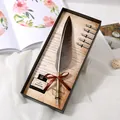 Vintage feather pen gift set with ink and nibs in a black gift box - Pointed Gray Feather (SFDPB009031)