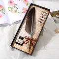Retro European brown feather pen gift set with ink and 5 interchangeable metal nibs - Round Gray Feather (SFDPB009031R)