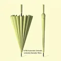 16-rib light green automatic long-handle umbrella with a 98cm canopy diameter - 16-Rib Automatic (Small Size) / Matcha Green