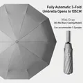 Mist grey fully automatic folding umbrella with 10 reinforced ribs and black coating - M-Series 10-Rib - Misty Gray / [fully Automatic Series] Vinyl Weather