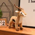 Realistic Tibetan antelope plush toy animal ornament standing on a wooden surface - Standing Antelope / 32x32x11cm