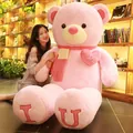 Giant soft pink teddy bear plush toy with Love heart pillow and scarf birthday gift - Scarf Heart Bear (IU) / Standard Length 0.8m / Pink