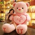 Giant pink teddy bear plush toy with heart cushion and embroidered Love letters - Heart Style / Standard Length 0.8m / Pink