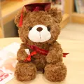 Adorable oso de peluche de graduación marrón con birrete rojo y diploma enrollado - 23cm / Sombrero rojo / Marrón Oscuro