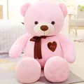 Large pink teddy bear plush toy featuring a brown ribbon and heart patch embroidery - Ribbon Style / 60CM / Pink