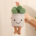 Handmade cute plush succulent plant keychain with a smiley face for bag decoration - Succulent Khaki / 12-16cm Pendant